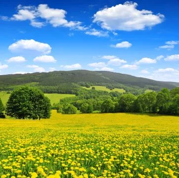 Spring landscape  Stock Photos