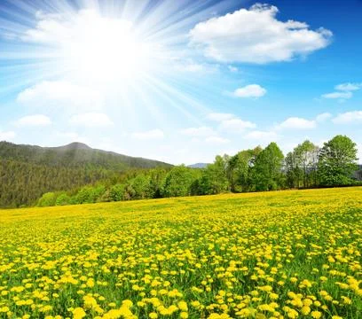 Spring landscape  Stock-Fotos