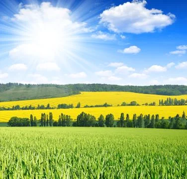 Spring landscape Stock Photos
