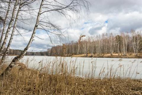 Spring landscape. Stock Photos