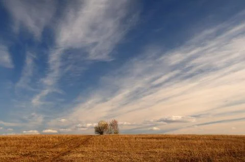Spring landscape Foto stock