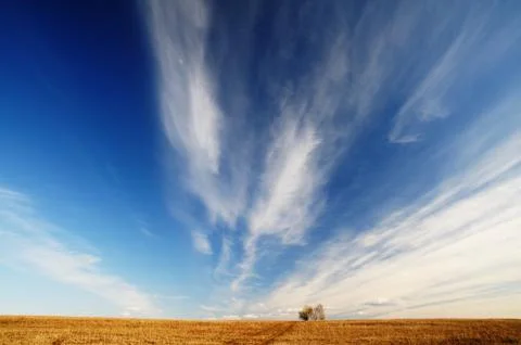 Spring landscape Stock Photos