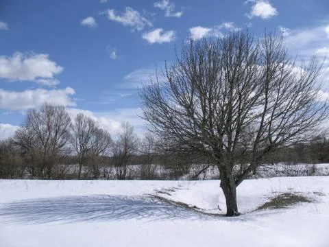 Spring landscape Stock Photos