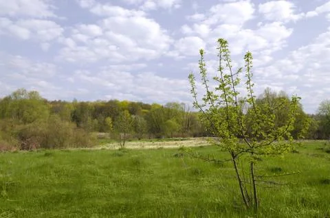 Spring landscape Stock Photos