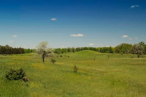 Spring landscape Фото