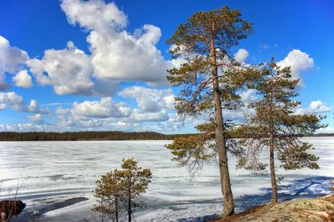 Spring landscape Stock Photos