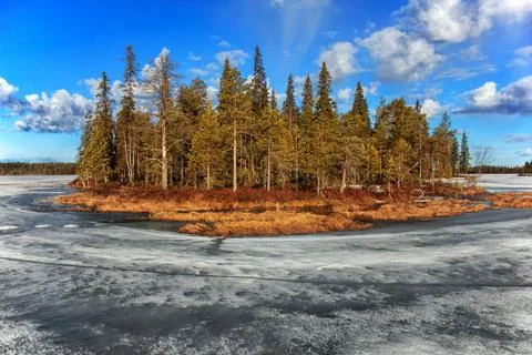 Spring landscape. Stock-Fotos