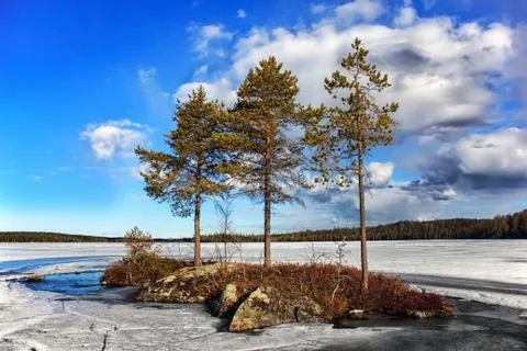 Spring landscape Stock Photos