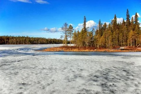Spring landscape Stock Photos