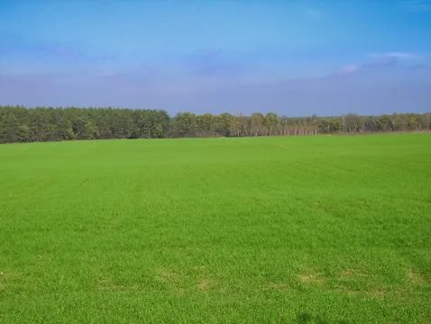 Spring landscape. Stock Photos