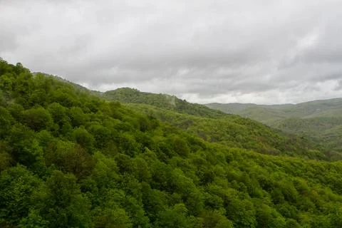 Spring landscape Stock Photos