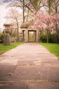 Spring Landscape Stock Photos