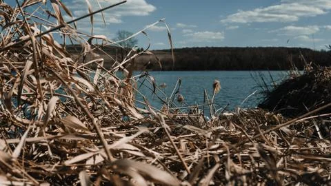 Spring landscape. Stock Photos