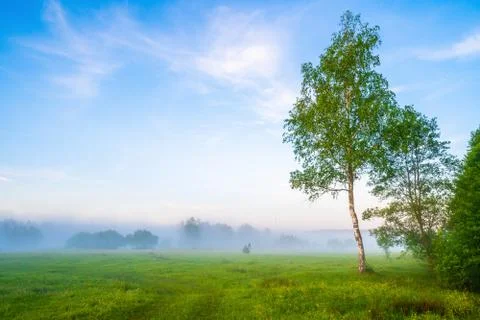 Spring landscape Foto stock