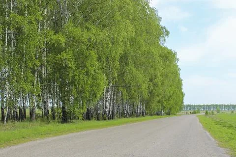Spring landscape Stock Photos