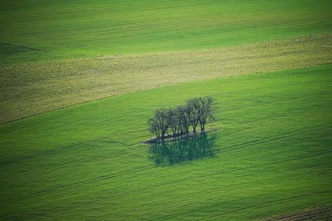 Spring landscape Foto stock