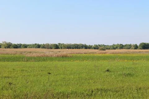 Spring landscape Stock Photos