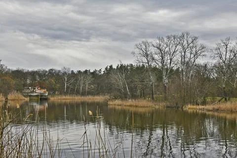 Spring landscape Foto stock