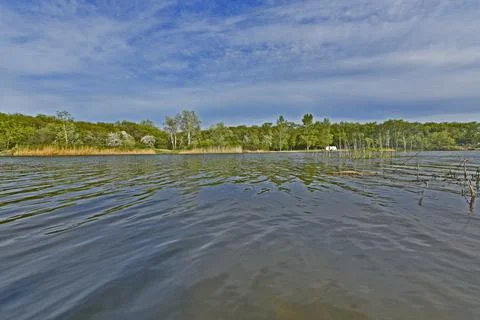 Spring landscape Foto stock