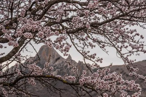Spring landscape Foto stock