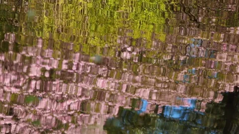 Spring landscape with pond and Rhododendron flowers. Stock Footage 129951603