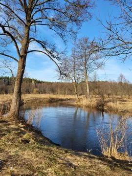 Spring landscape with river and tree Stock Photos