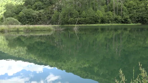 Spring landscape with a river and trees Stock Footage 104001708