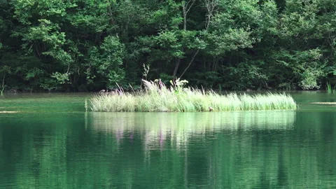 Spring landscape with a river and trees Stock Footage 104001709