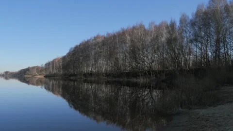 Spring landscape. River and trees in the early morning Stock Footage 182424087