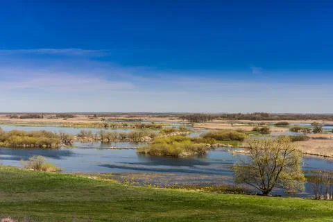 Spring landscape with river backwaters Stock Photos