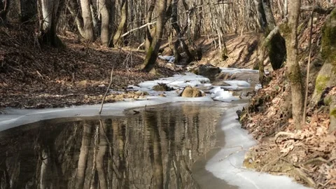 Spring landscape with a river. Stock Footage 234482505