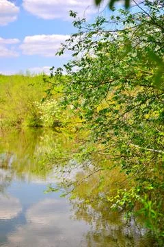 Spring landscape with the river Stock Photos