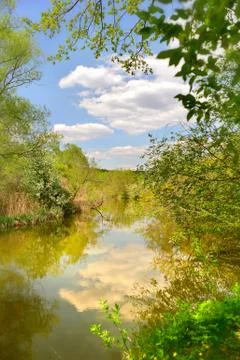 Spring landscape with the river Stock Photos