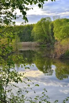 Spring landscape with the river Stock Photos