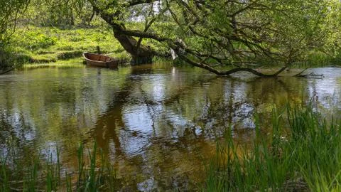 Spring landscape on the river Stock Photos