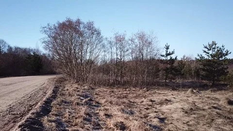 Spring landscape of Shevino Lake Stockbeeldmateriaal 105449205