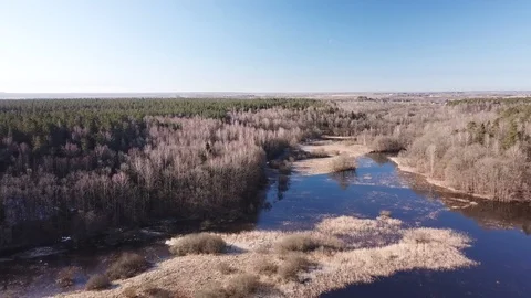 Spring landscape of Shevino Lake 스톡 동영상 105451044