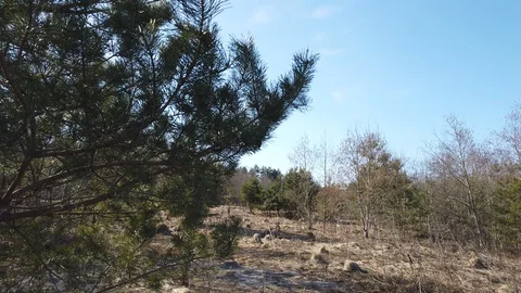 Spring landscape of Shevino Lake Stock Footage 105494433
