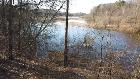 Spring landscape of Shevino Lake Stock Footage 105494582