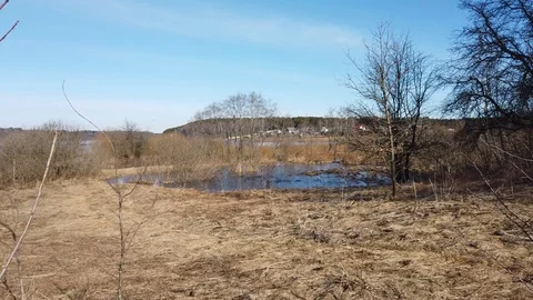 Spring landscape of Shevino Lake 스톡 동영상 105494604