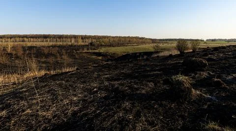 A Spring Landscape Showcasing Burnt Grass Transitioning to Renewing Life an.. Stock Photos