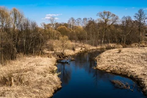 Spring landscape with a small river and yellow banks with dry grass. Stock Photos