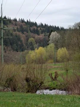 Spring Landscape with a Small River Flowing Through Green Fields and Forest Stockfoto's