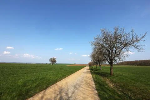 Spring landscape with sown fields and blue sky Stock Photos