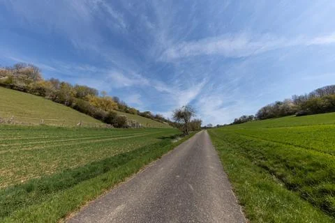 Spring landscape with sown fields and blue sky Stock Photos