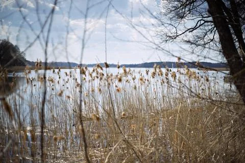 Spring landscape. Spring landscape background. View to the lake. Stock Photos