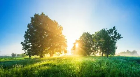 Spring landscape. Spring nature scene Stock Photos