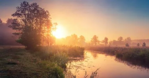 Spring landscape at sunrise Stock Photos