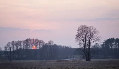 Spring landscape with sunset Stock Photos