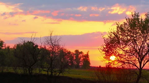 Spring landscape, sunset. timelapse. Stock Footage 49912032
